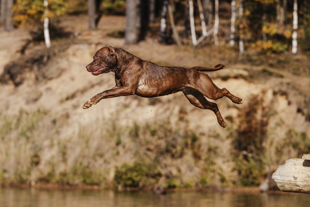 Прыжок веры