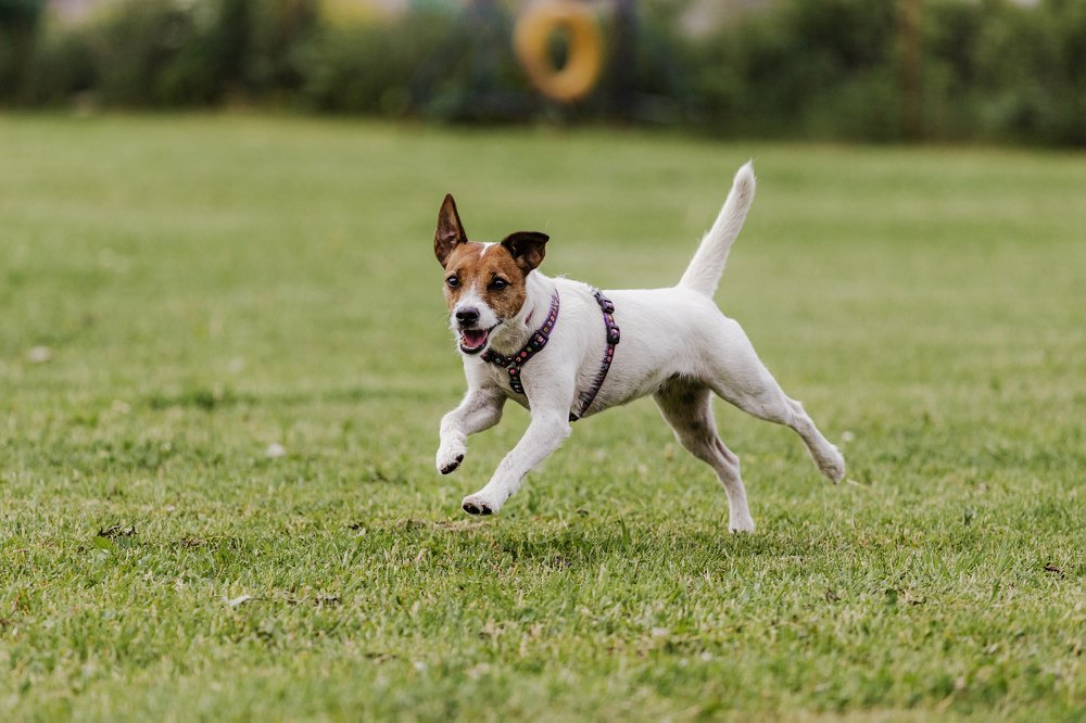 Photograph by Елена Левина