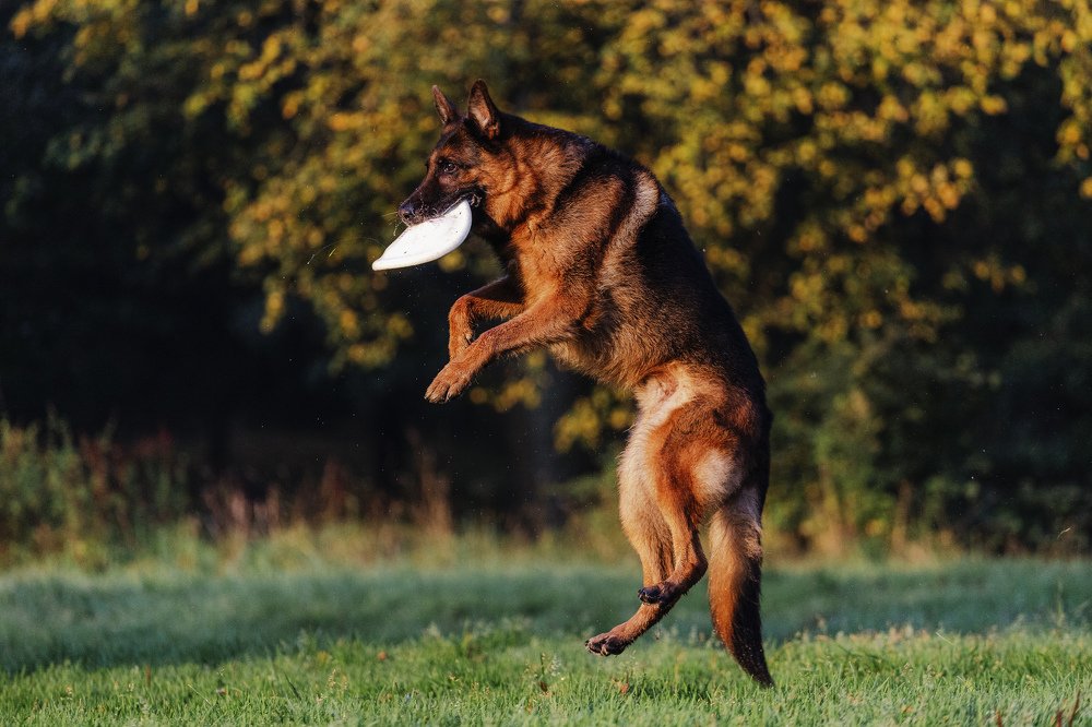 Photograph by Елена Левина