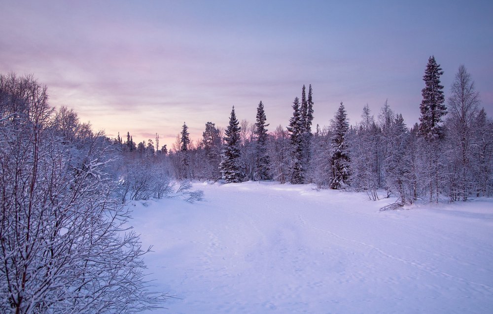 Photograph by Алексей Покровский