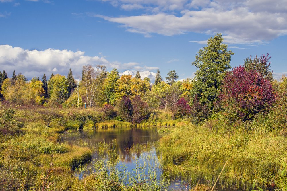 Photograph by Елена Чудиновских