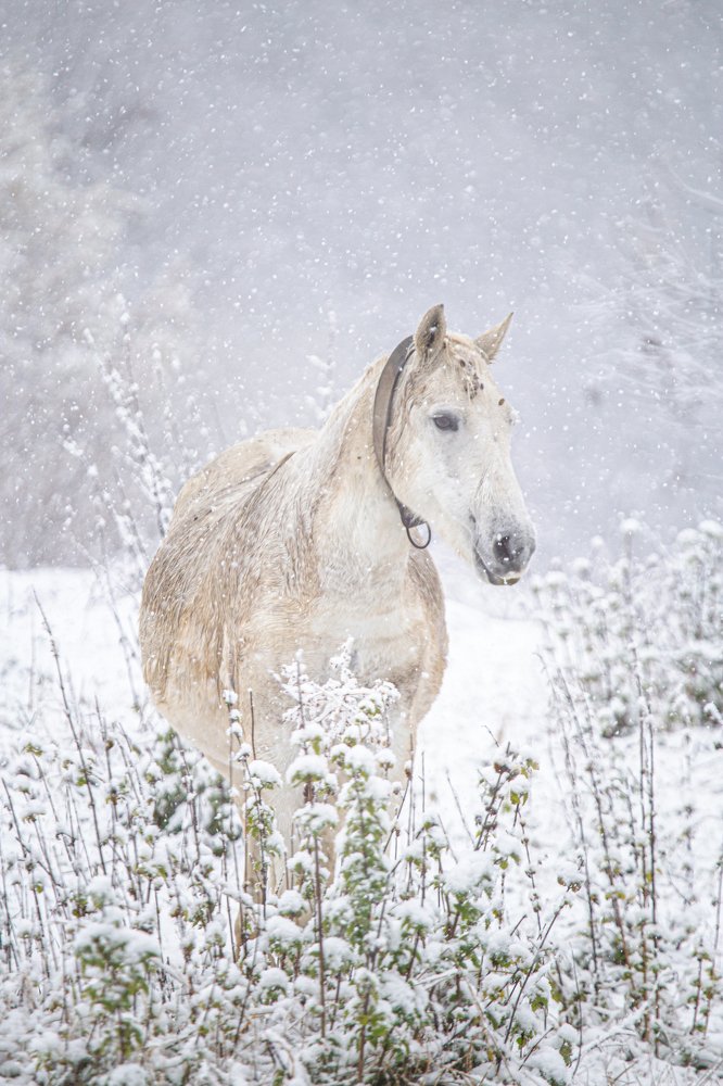 Photograph by Dzintra Zvagina