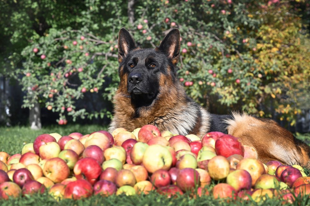 Photograph by Екатерина Рябкова