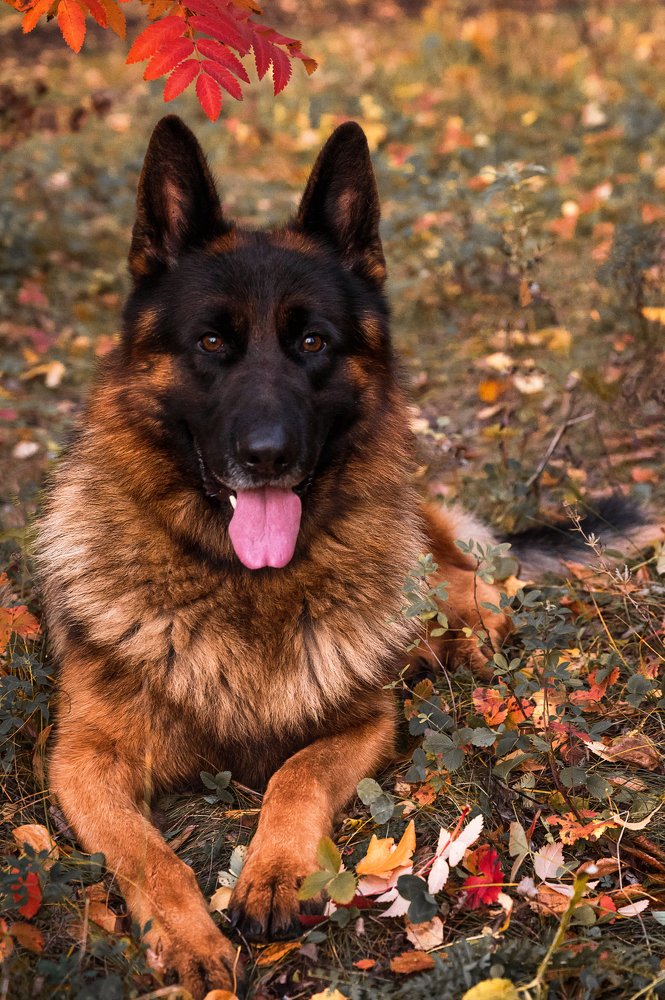 Photograph by Екатерина Рябкова