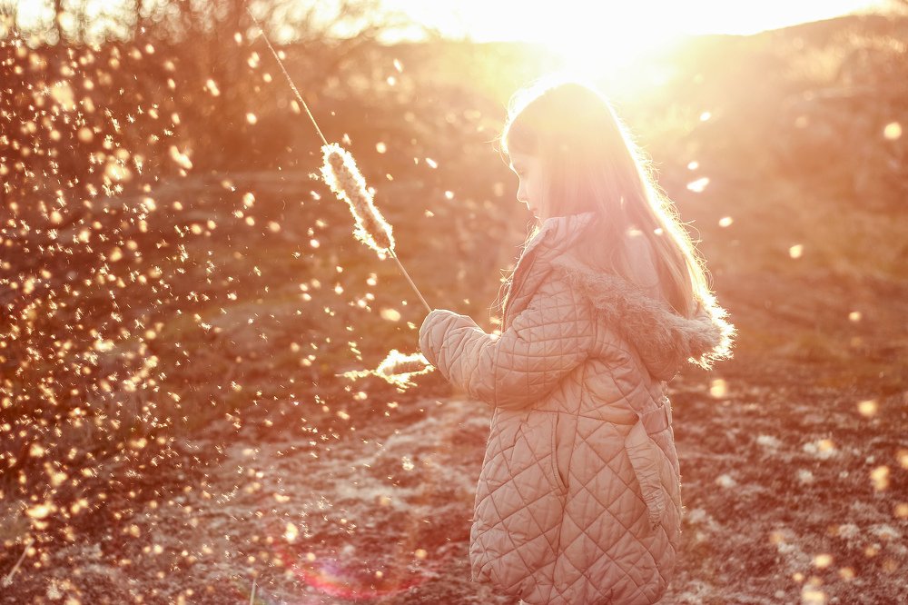 Photograph by Алена Коваленко