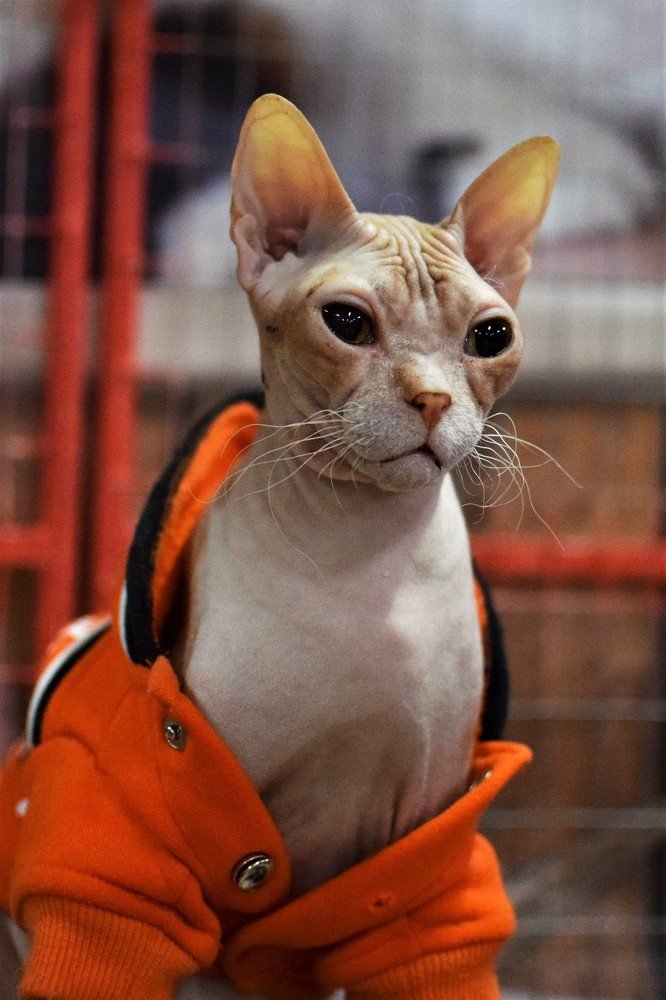 Photograph by Екатерина Рябкова