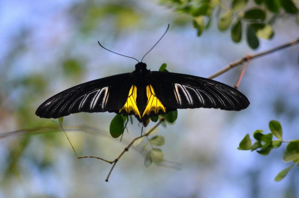 Photograph by Liliana Grup