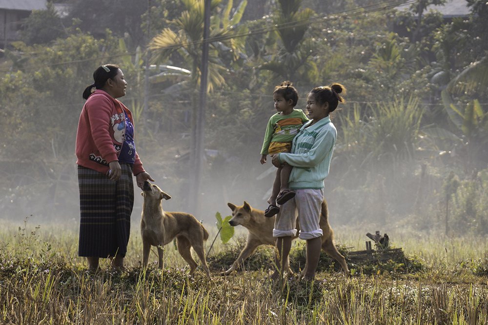 Photograph by saw alber