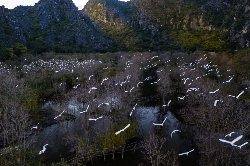 Фотография автора quach nam