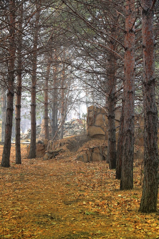 Photograph by Сергей Пикалов