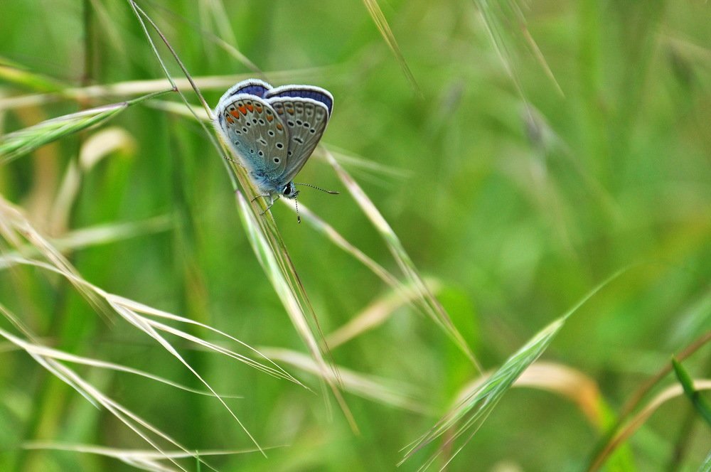 Photograph by Александр Штифман