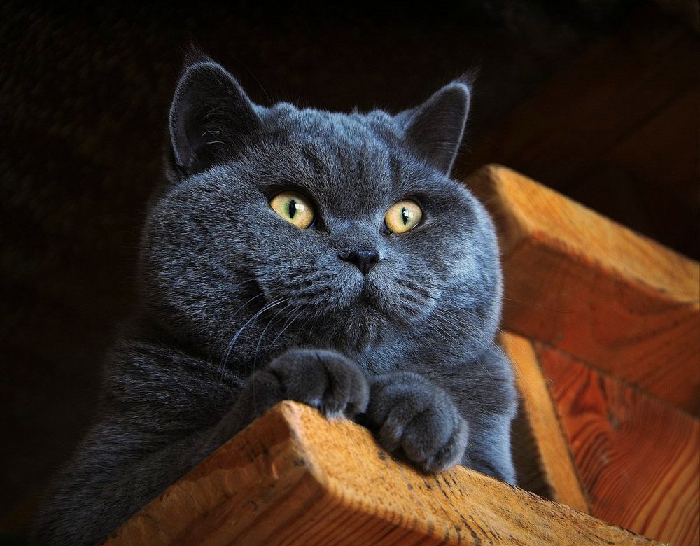 Photograph by Сергей Алексеев