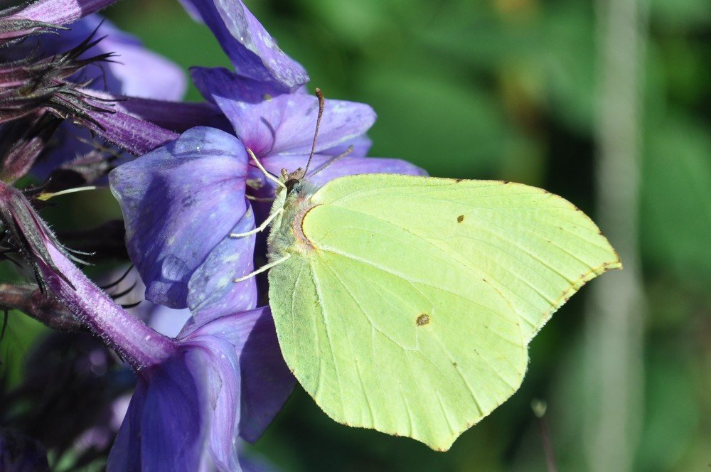 Фотография автора Наталья Липовская