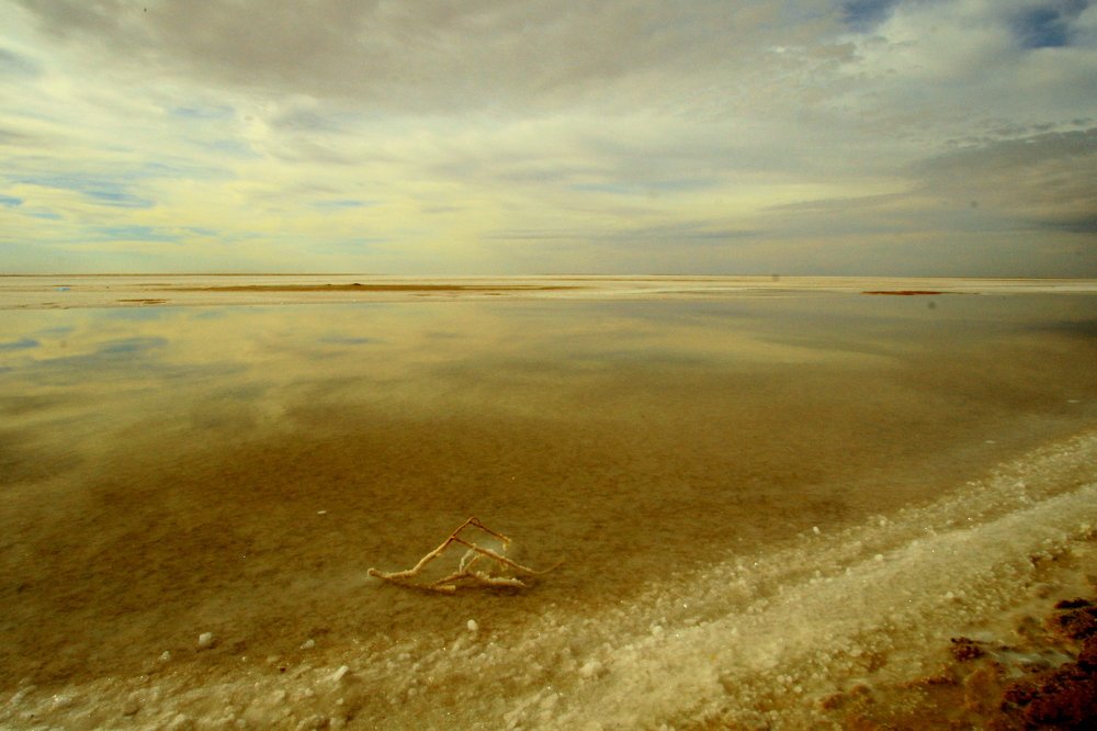 Photograph by Евгений Сизов