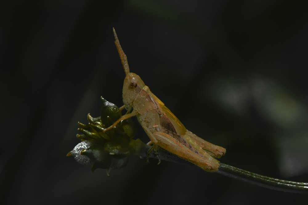 Photograph by Евгений