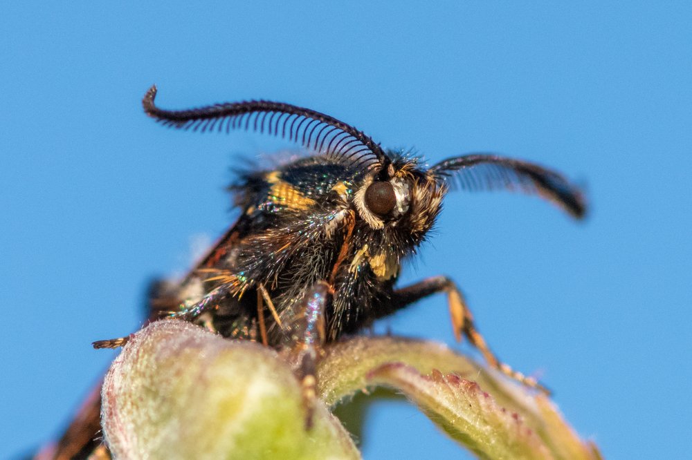 Photograph by Евгений