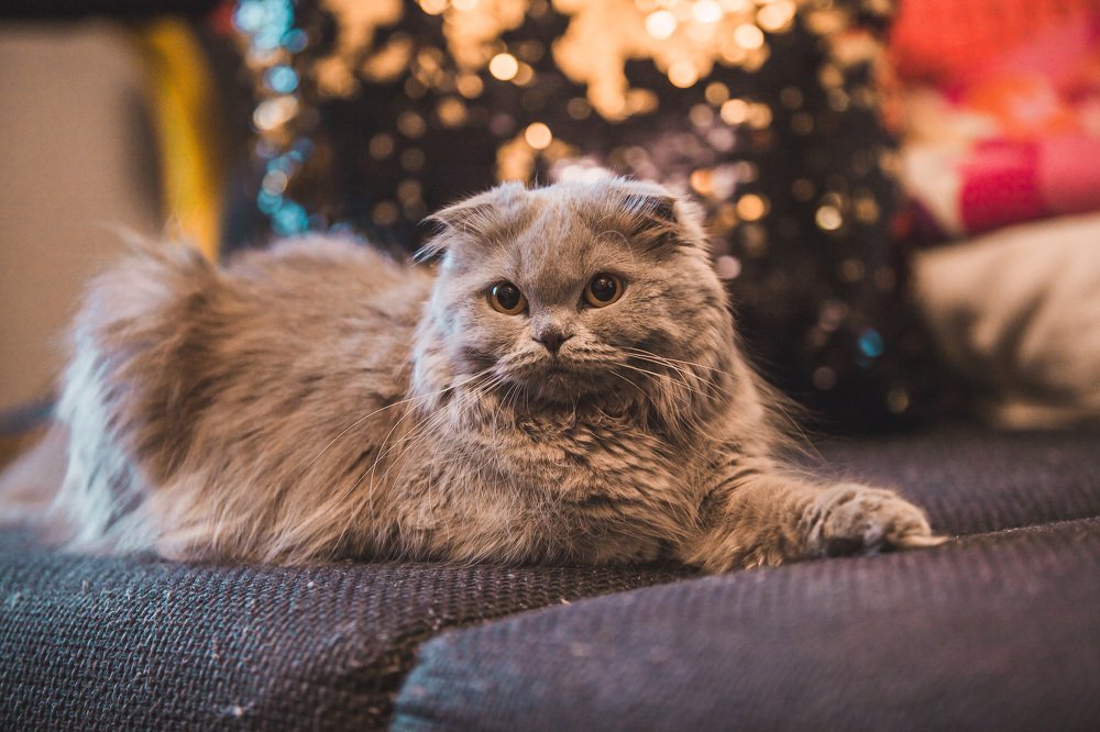 Photograph by Мария Середа