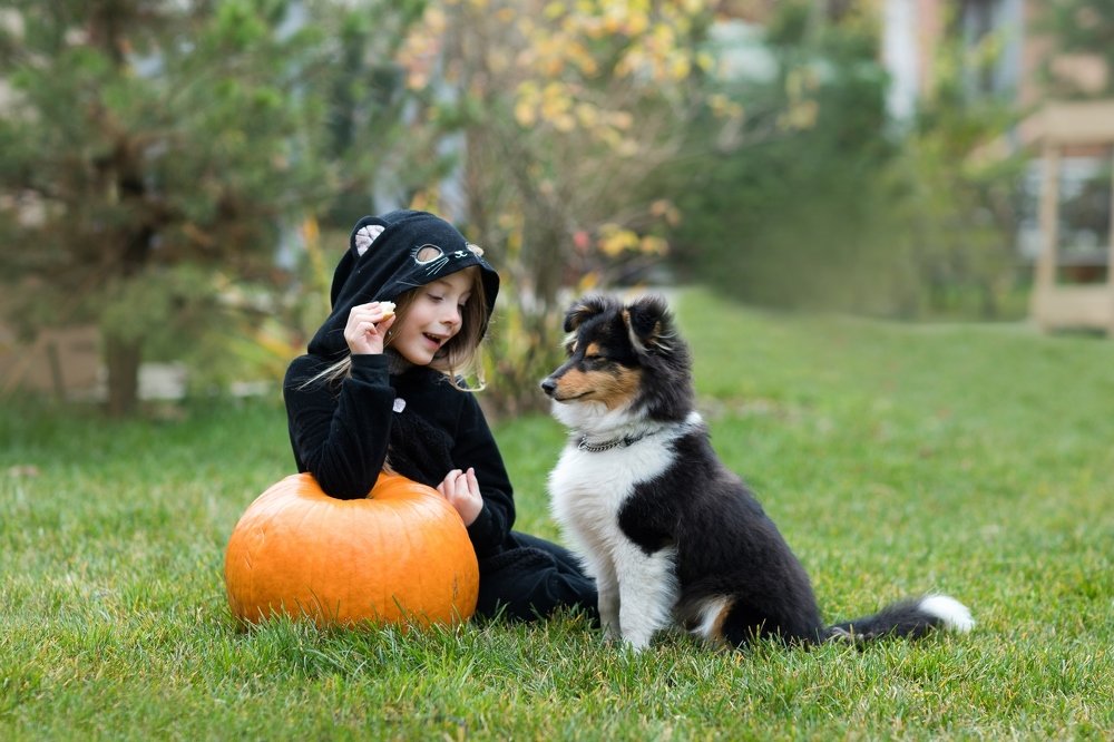 Photograph by Ирина Макарова