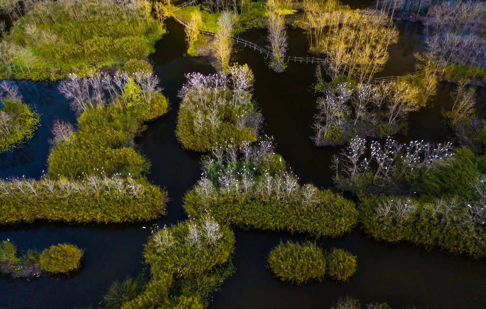 Фотография автора quach nam