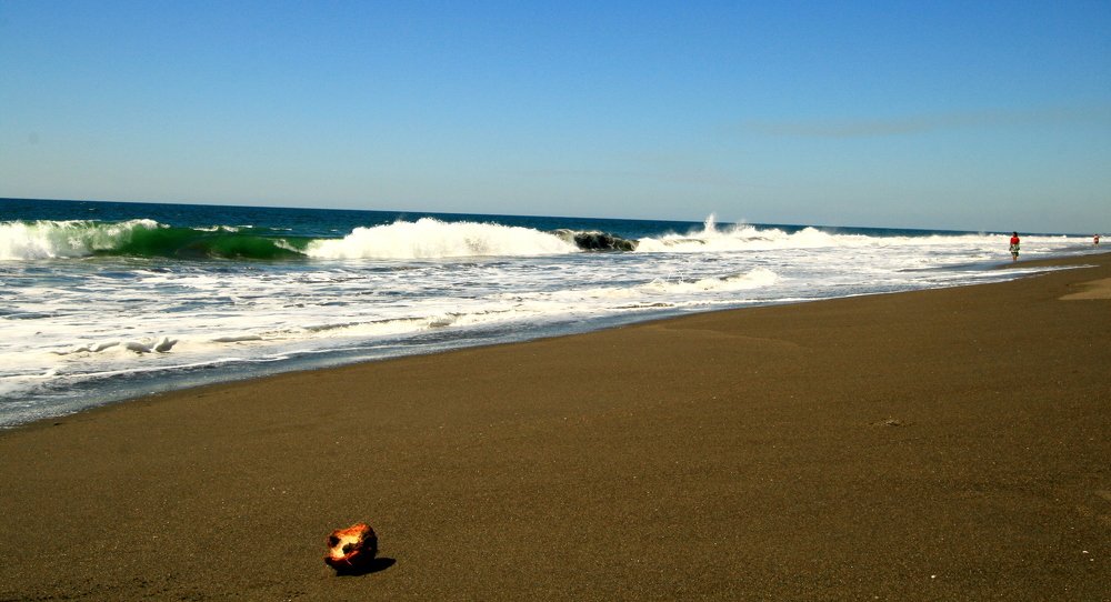 Photograph by Евгений Сизов