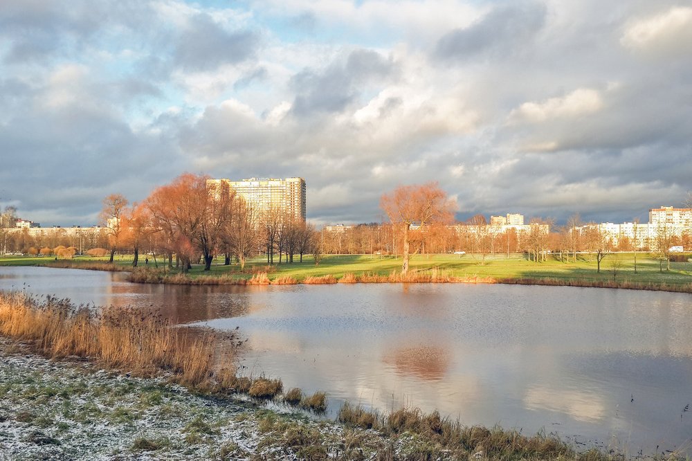 Осенние контрасты.