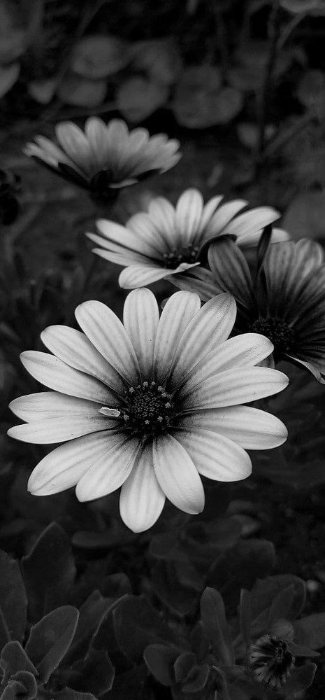 Photograph by Иванченко Ксения