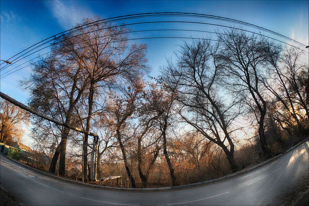 Фотография автора Валерий Цуркан