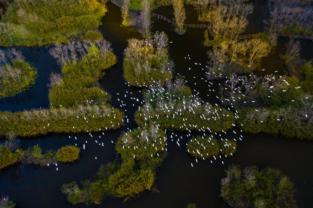 Фотография автора quach nam