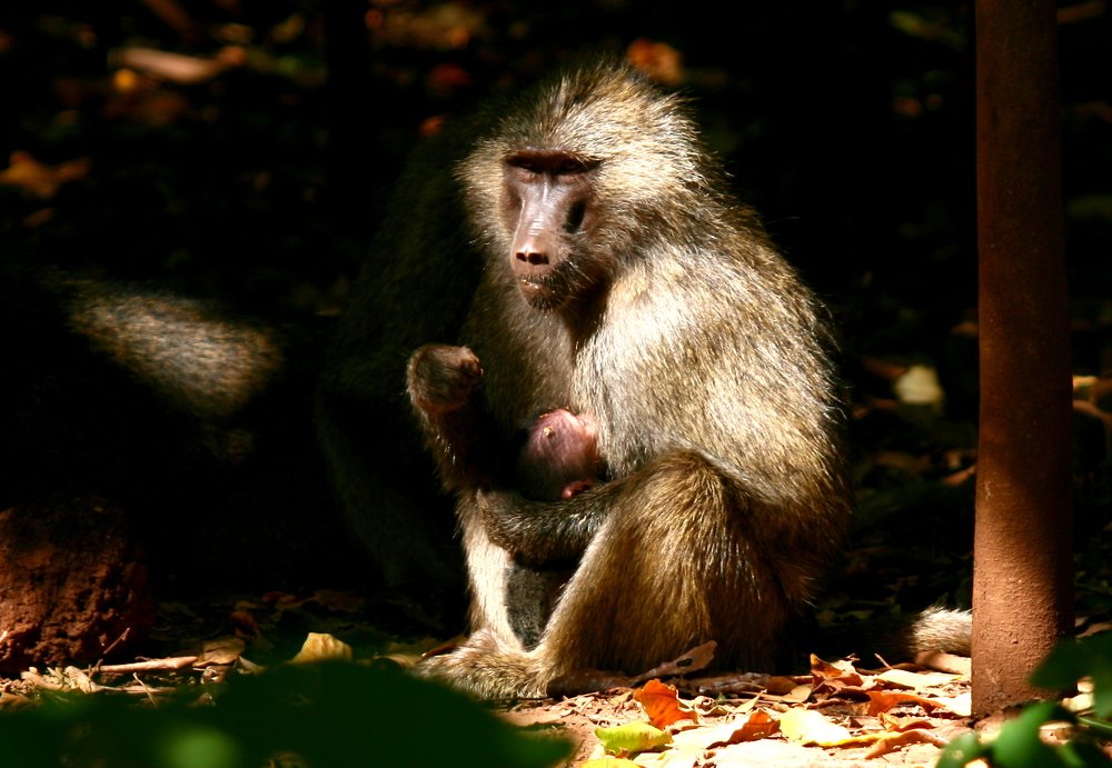 Photograph by Евгений Сизов