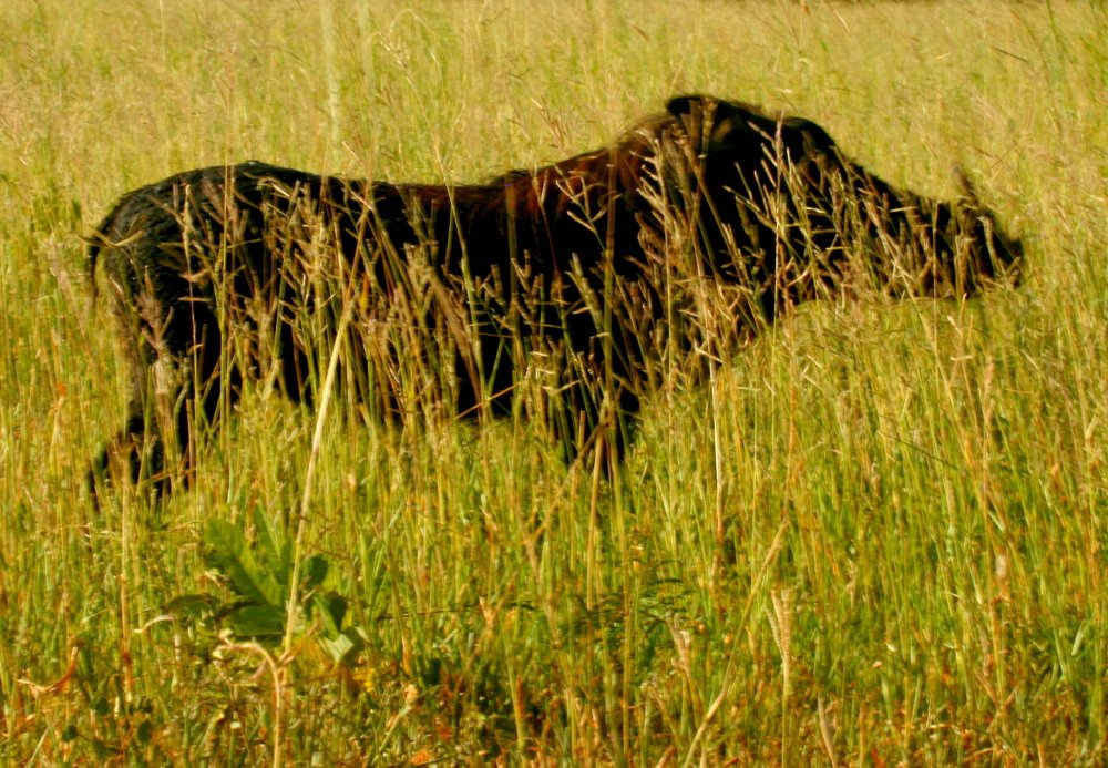 Photograph by Евгений Сизов