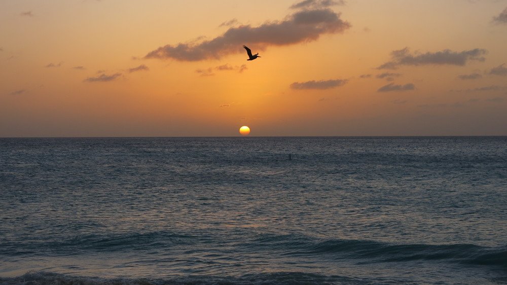 Photograph by Berenice Goelzer