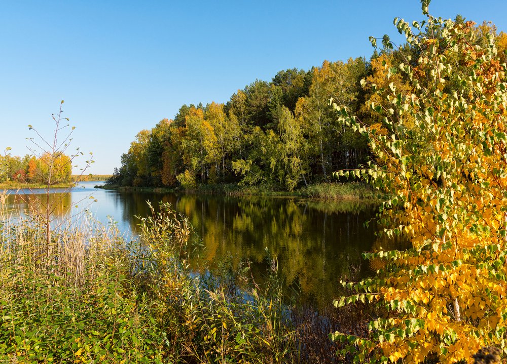 Photograph by Александр Кривошеин