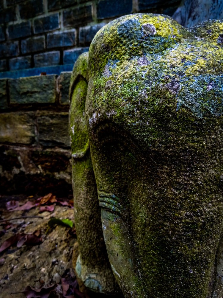 Photograph by Nipun Hennayaka