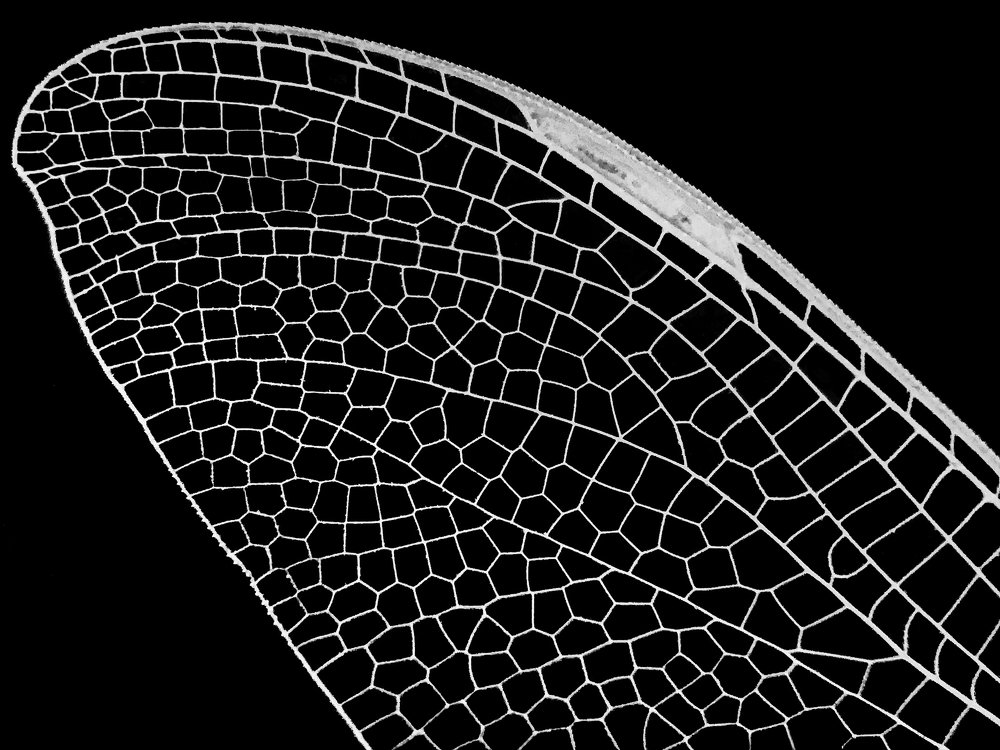 Фотография автора Lujza Stoklas