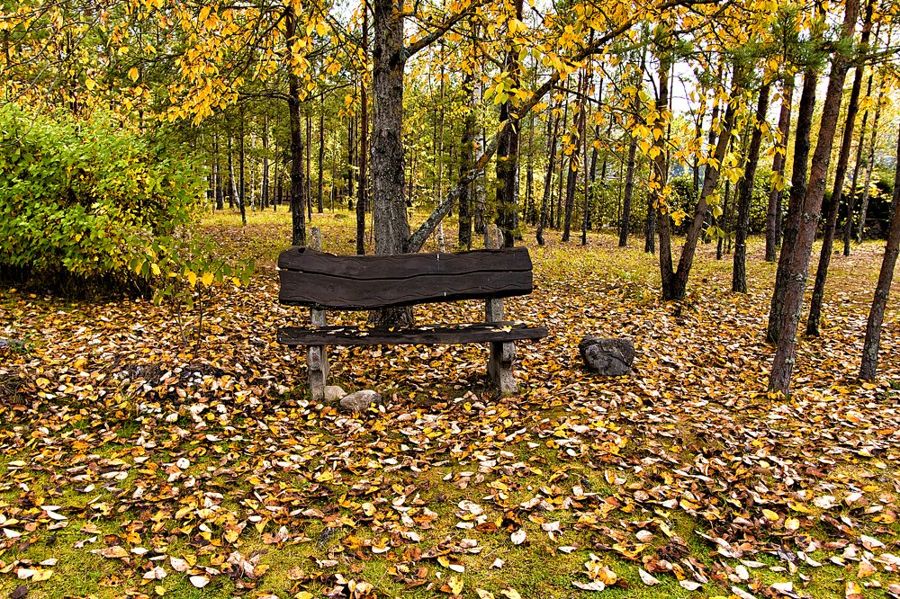 Photograph by Galina