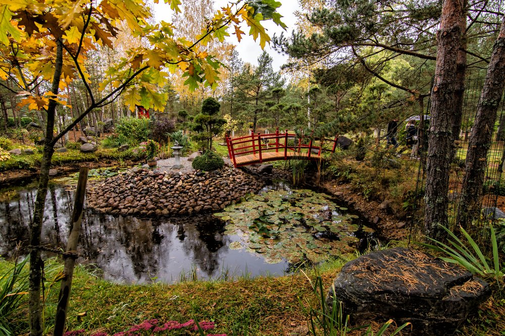 Photograph by Galina