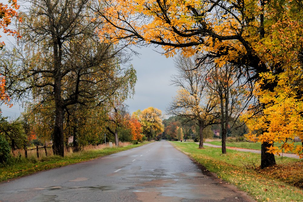 Photograph by Galina