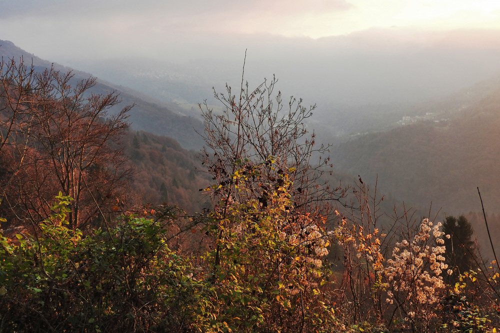 Фотография автора Nicolò Lagona