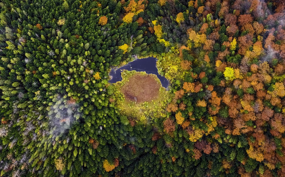 Photograph by Denys Makogon