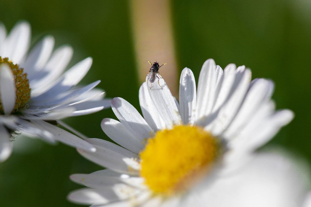 Photograph by Kaupo Tammiste