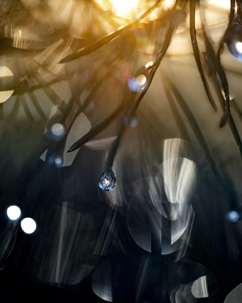 Photograph by Kaupo Tammiste