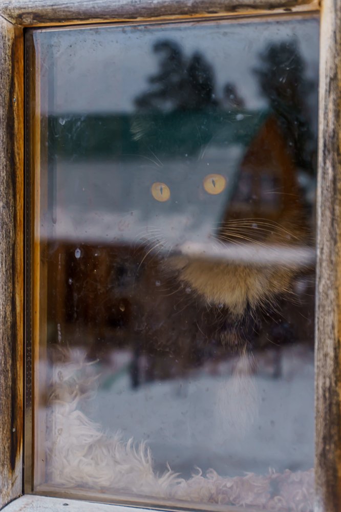 Photograph by Анна Слепенко