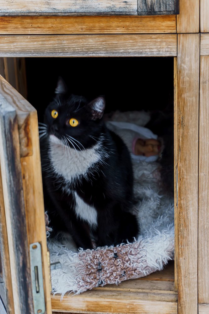 Photograph by Анна Слепенко