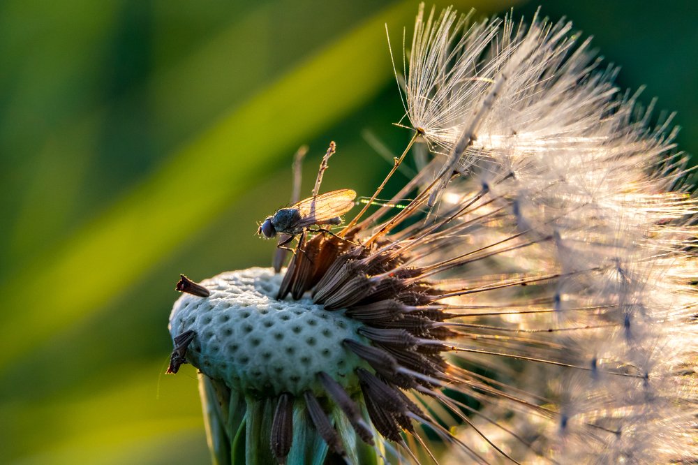 Photograph by Kaupo Tammiste