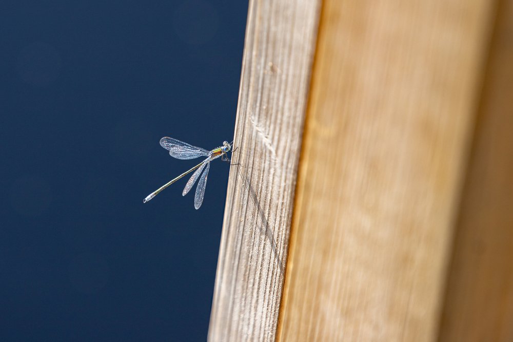 Photograph by Kaupo Tammiste