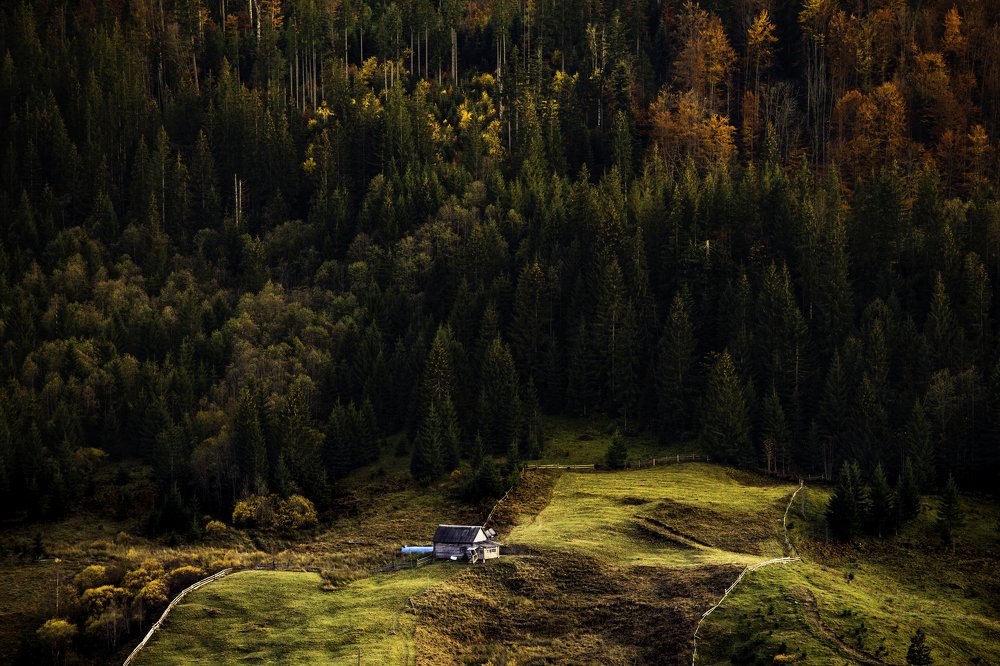 Photograph by Denys Makogon