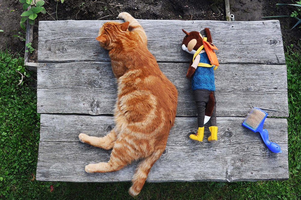 Photograph by Эдуард Шадров