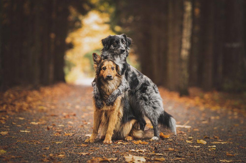 Photograph by Klára Lipertová