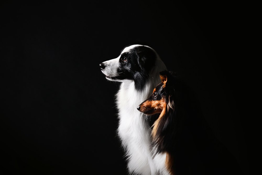 Photograph by Екатерина Коваленко