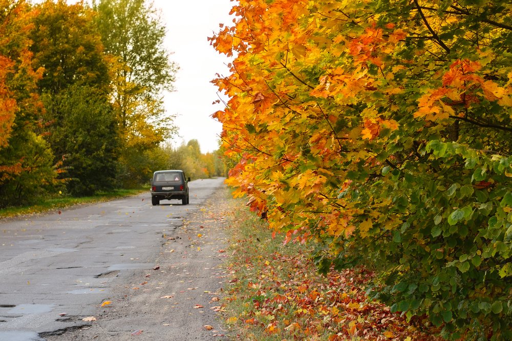 Photograph by Марина Колпакова